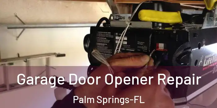 Garage Door Opener Repair Palm Springs-FL