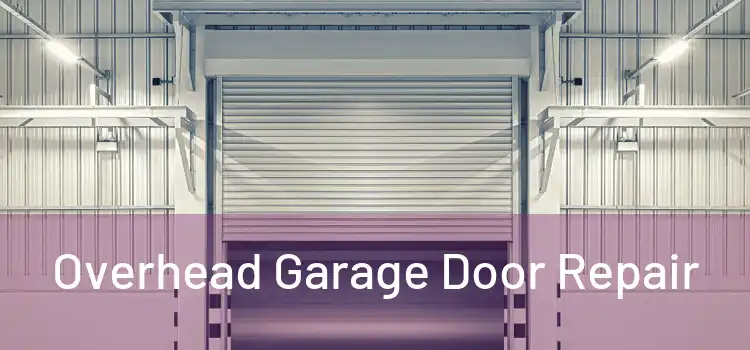  Overhead Garage Door Repair 